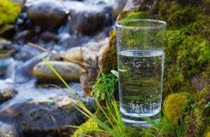 Jeûne et détox en Ardèche verte